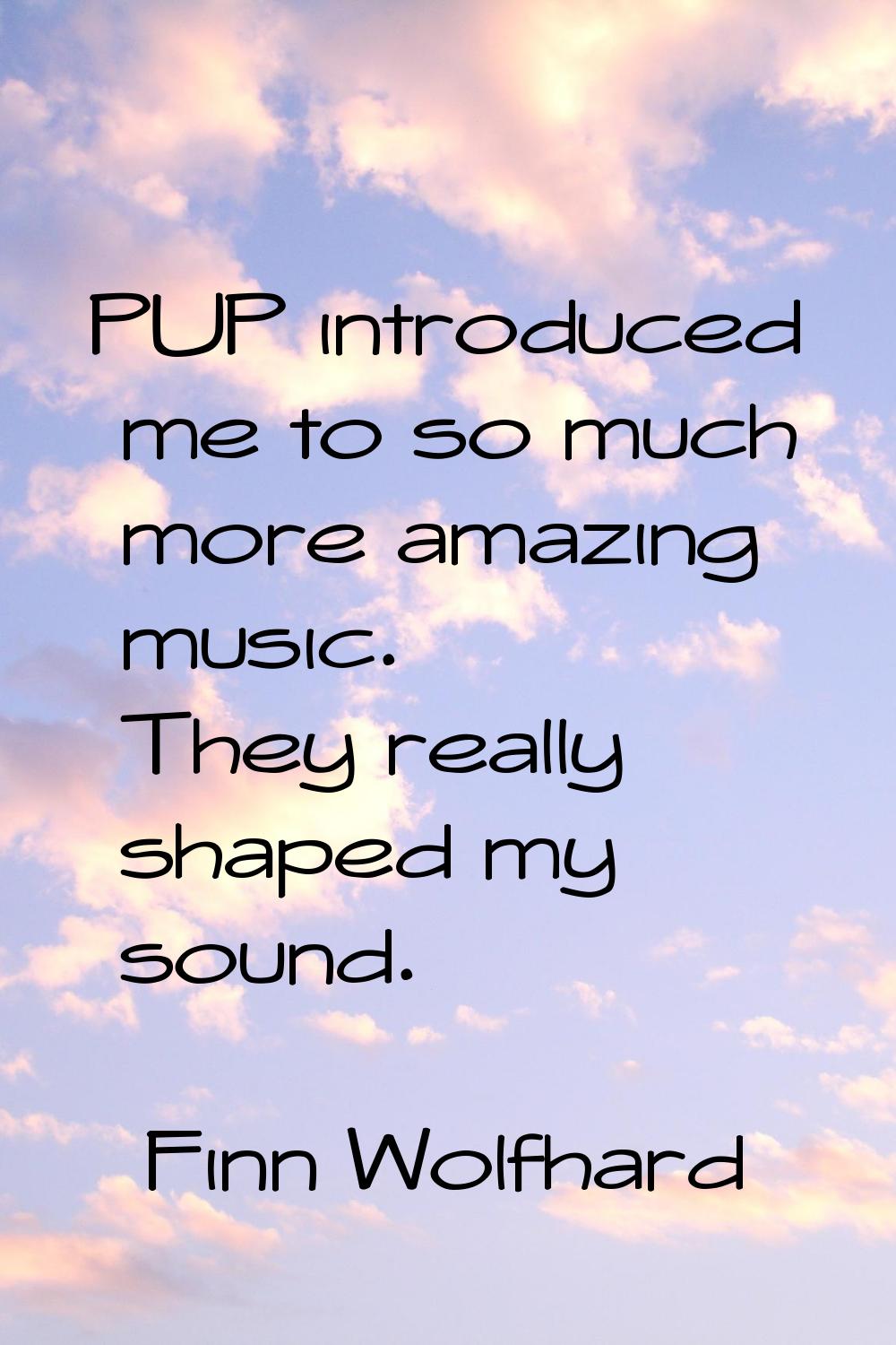 PUP introduced me to so much more amazing music. They really shaped my sound.