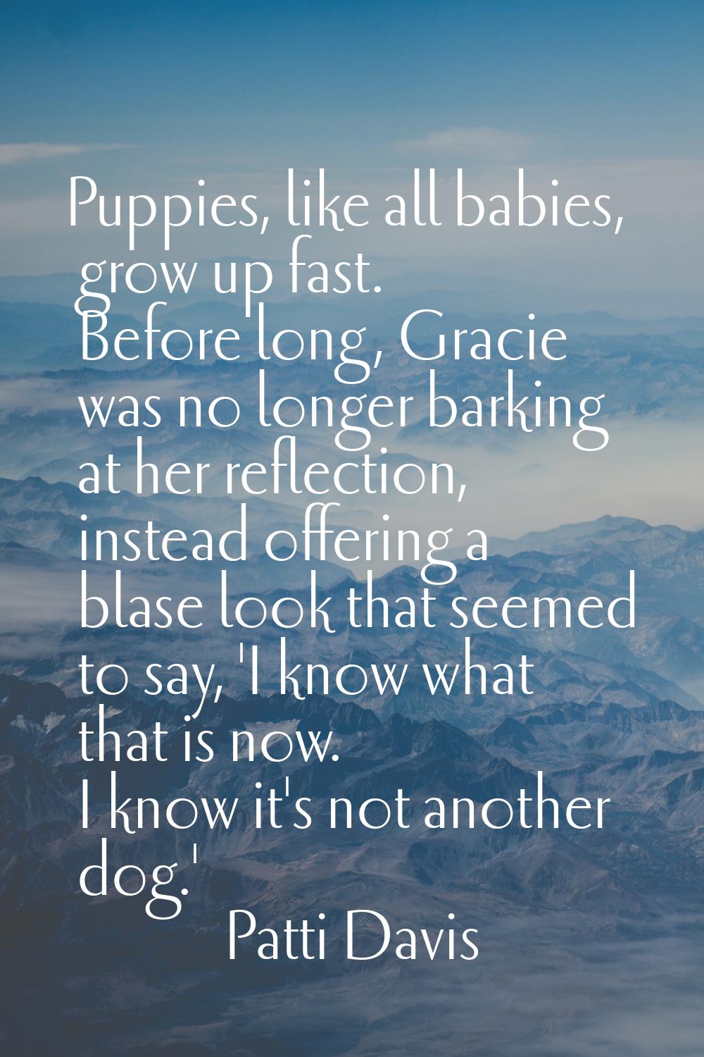 Puppies, like all babies, grow up fast. Before long, Gracie was no longer barking at her reflection
