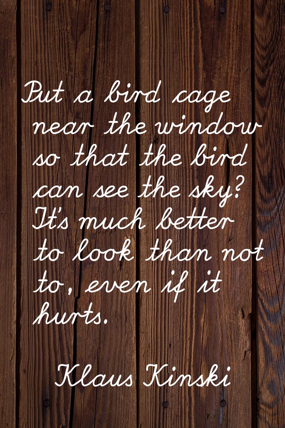 Put a bird cage near the window so that the bird can see the sky? It's much better to look than not