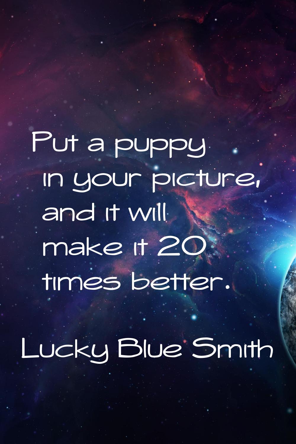 Put a puppy in your picture, and it will make it 20 times better.