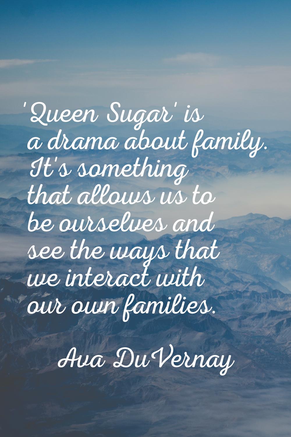 'Queen Sugar' is a drama about family. It's something that allows us to be ourselves and see the wa