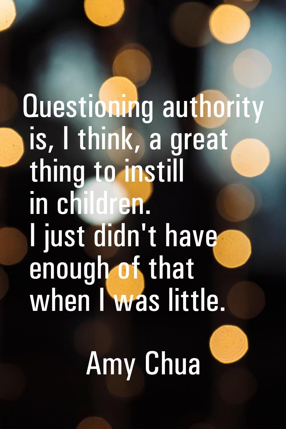Questioning authority is, I think, a great thing to instill in children. I just didn't have enough 