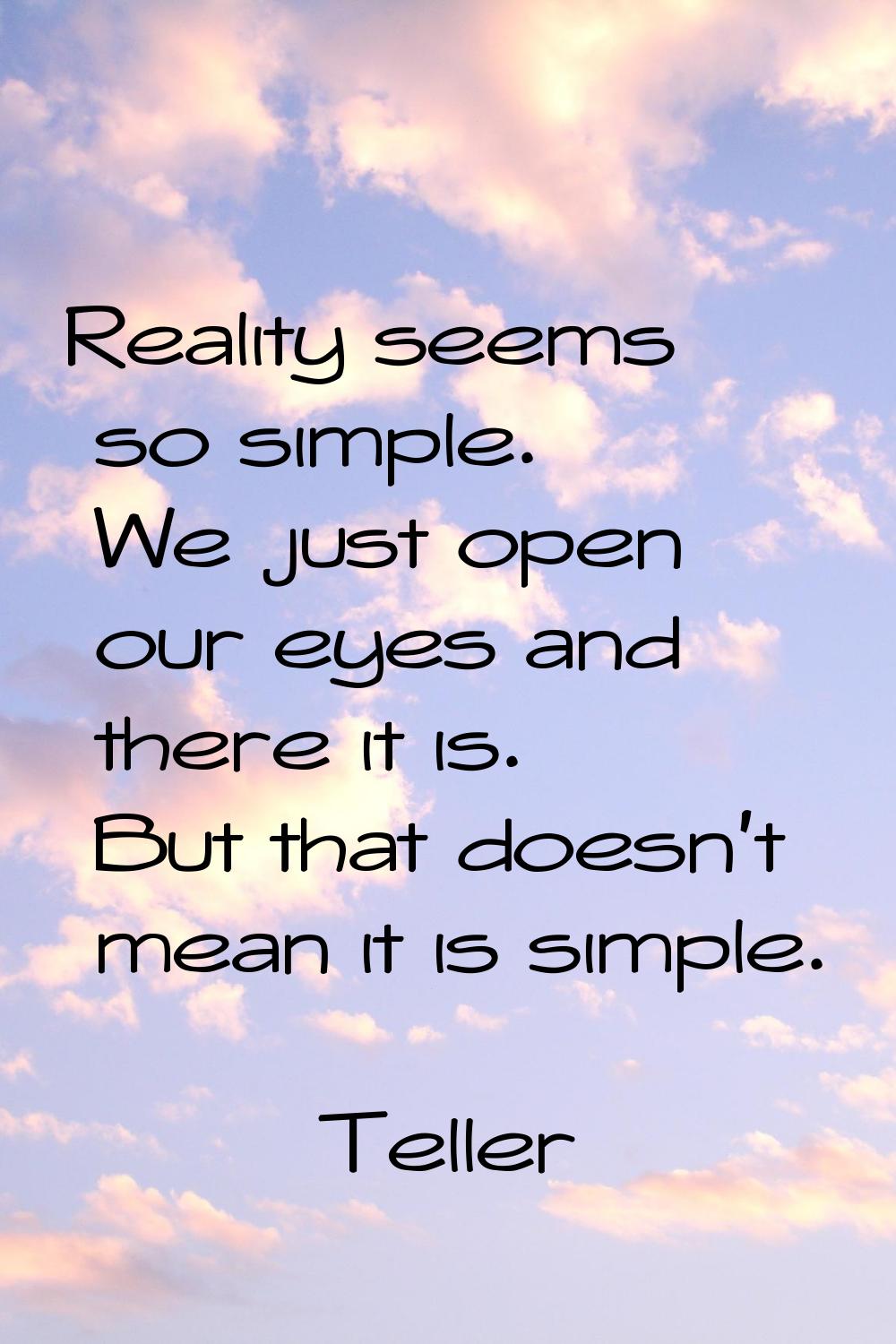Reality seems so simple. We just open our eyes and there it is. But that doesn't mean it is simple.