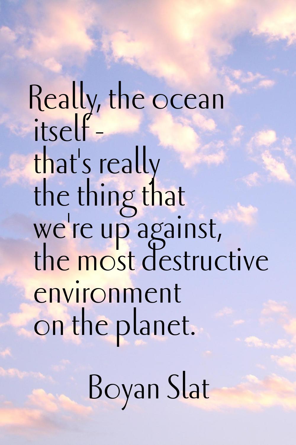 Really, the ocean itself - that's really the thing that we're up against, the most destructive envi