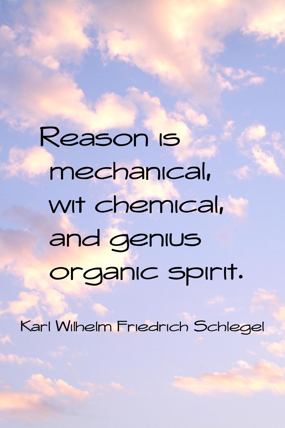 Reason is mechanical, wit chemical, and genius organic spirit.