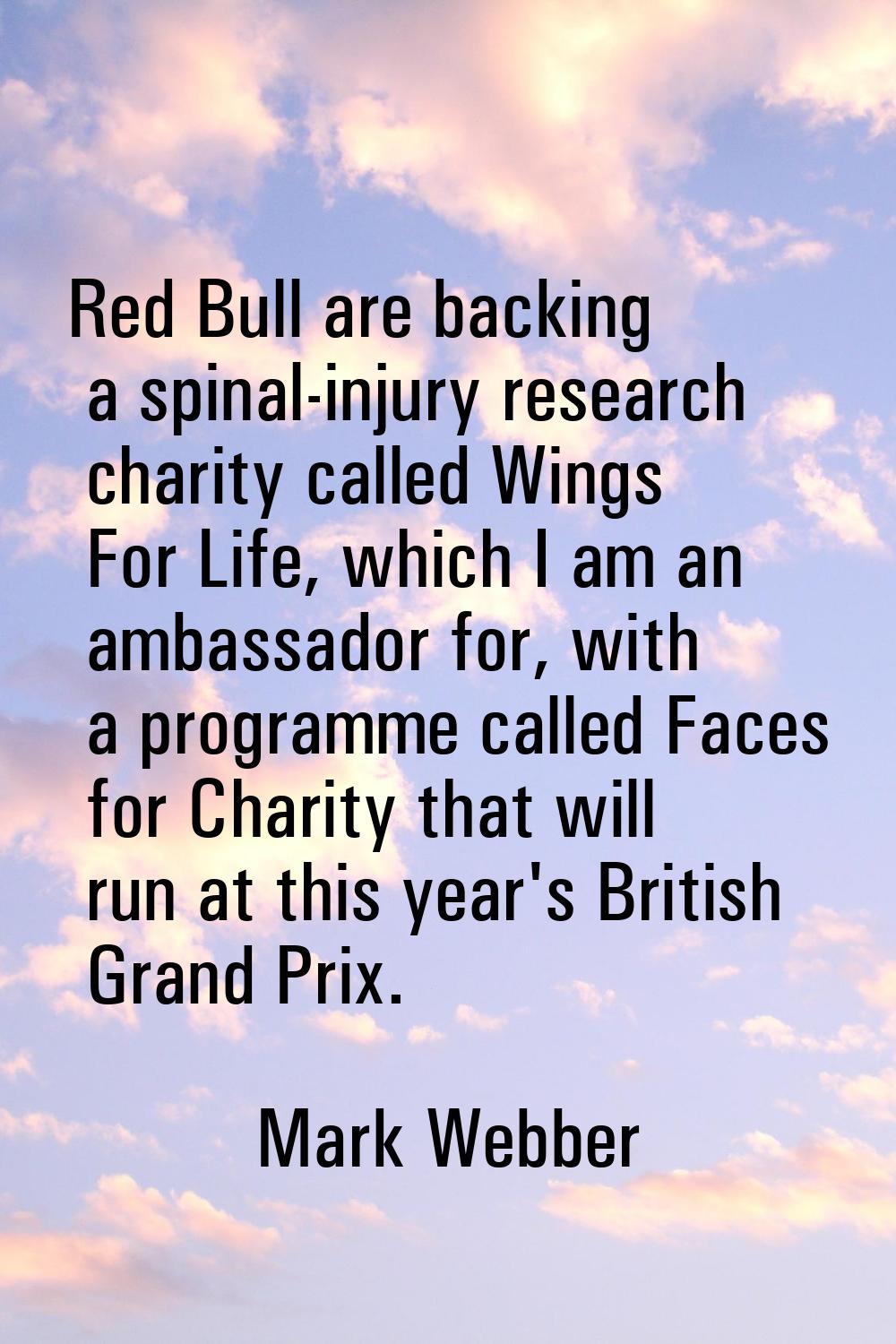 Red Bull are backing a spinal-injury research charity called Wings For Life, which I am an ambassad