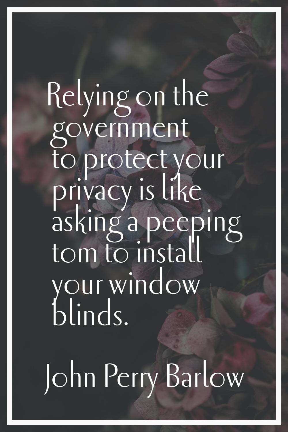 Relying on the government to protect your privacy is like asking a peeping tom to install your wind