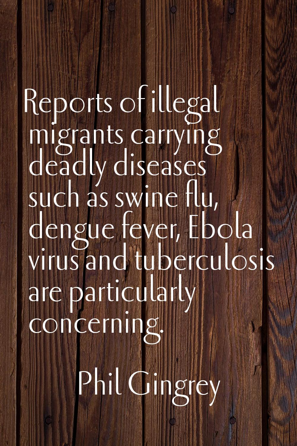 Reports of illegal migrants carrying deadly diseases such as swine flu, dengue fever, Ebola virus a