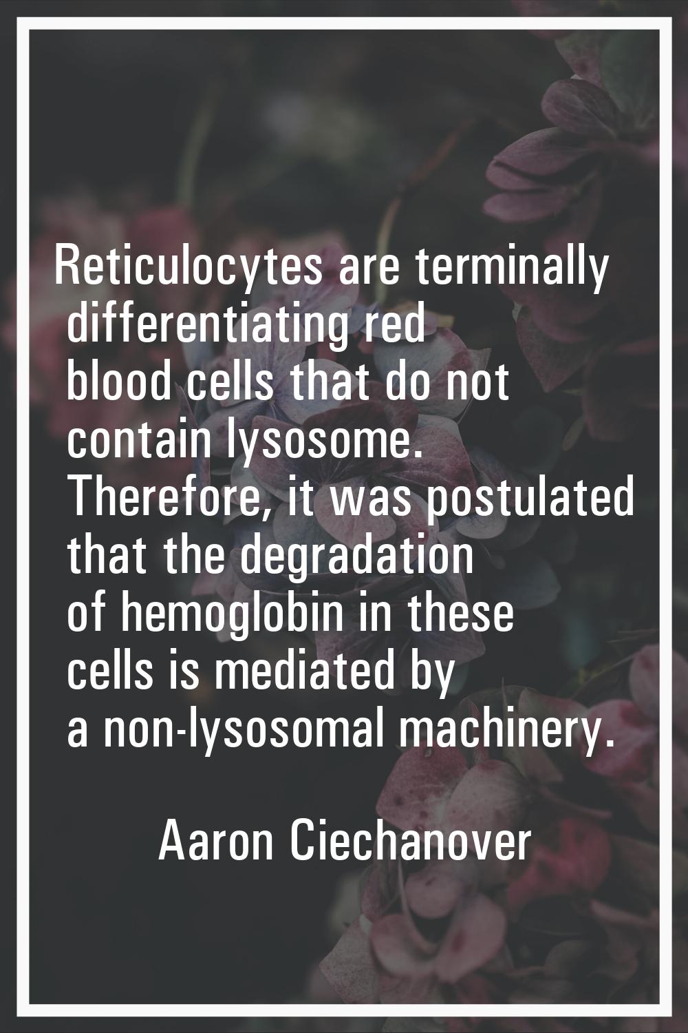 Reticulocytes are terminally differentiating red blood cells that do not contain lysosome. Therefor