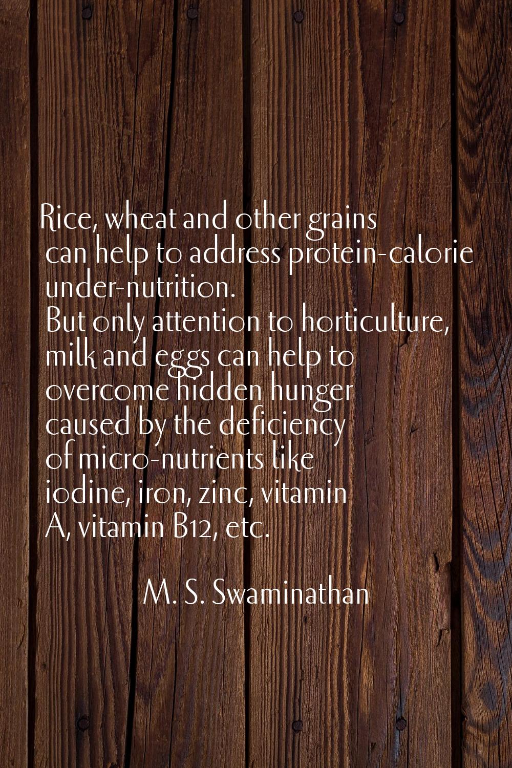 Rice, wheat and other grains can help to address protein-calorie under-nutrition. But only attentio