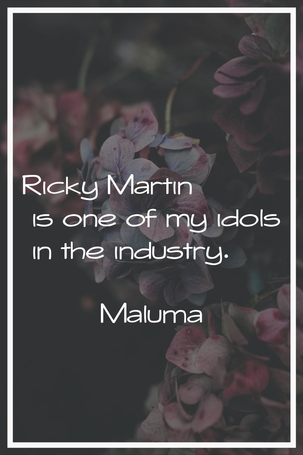 Ricky Martin is one of my idols in the industry.