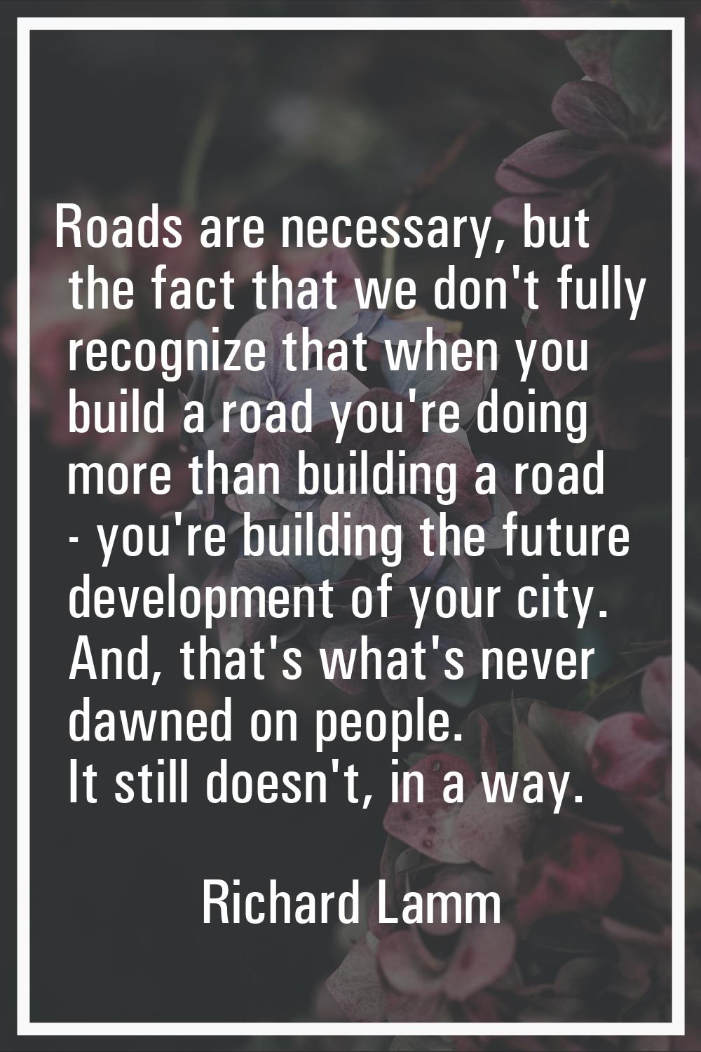 Roads are necessary, but the fact that we don't fully recognize that when you build a road you're d