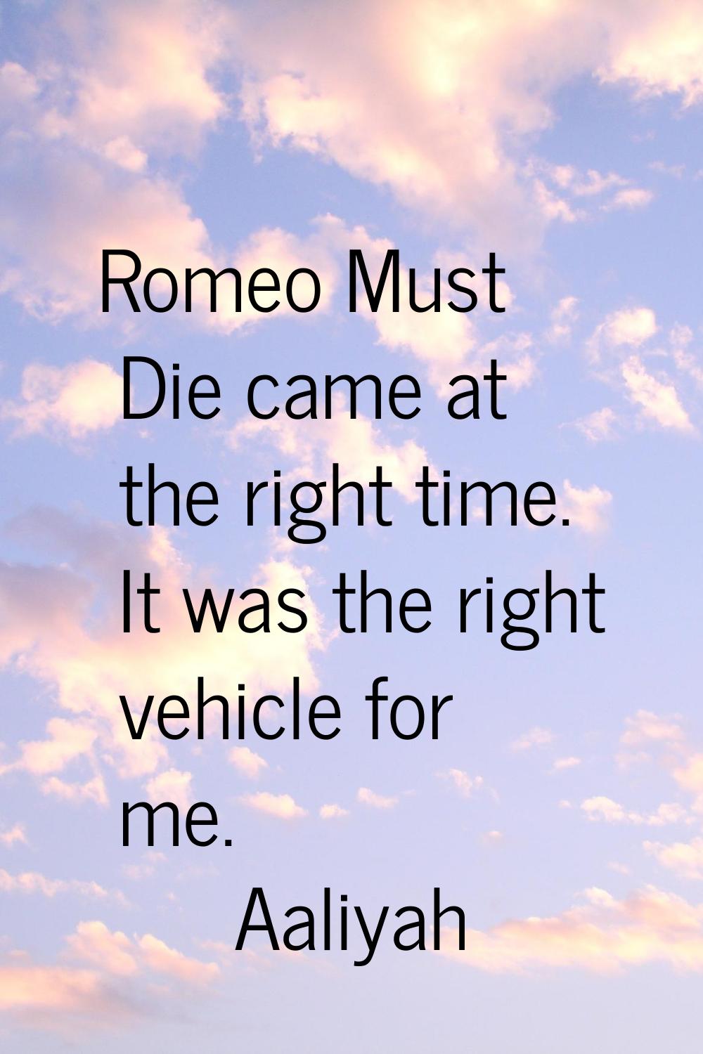 Romeo Must Die came at the right time. It was the right vehicle for me.