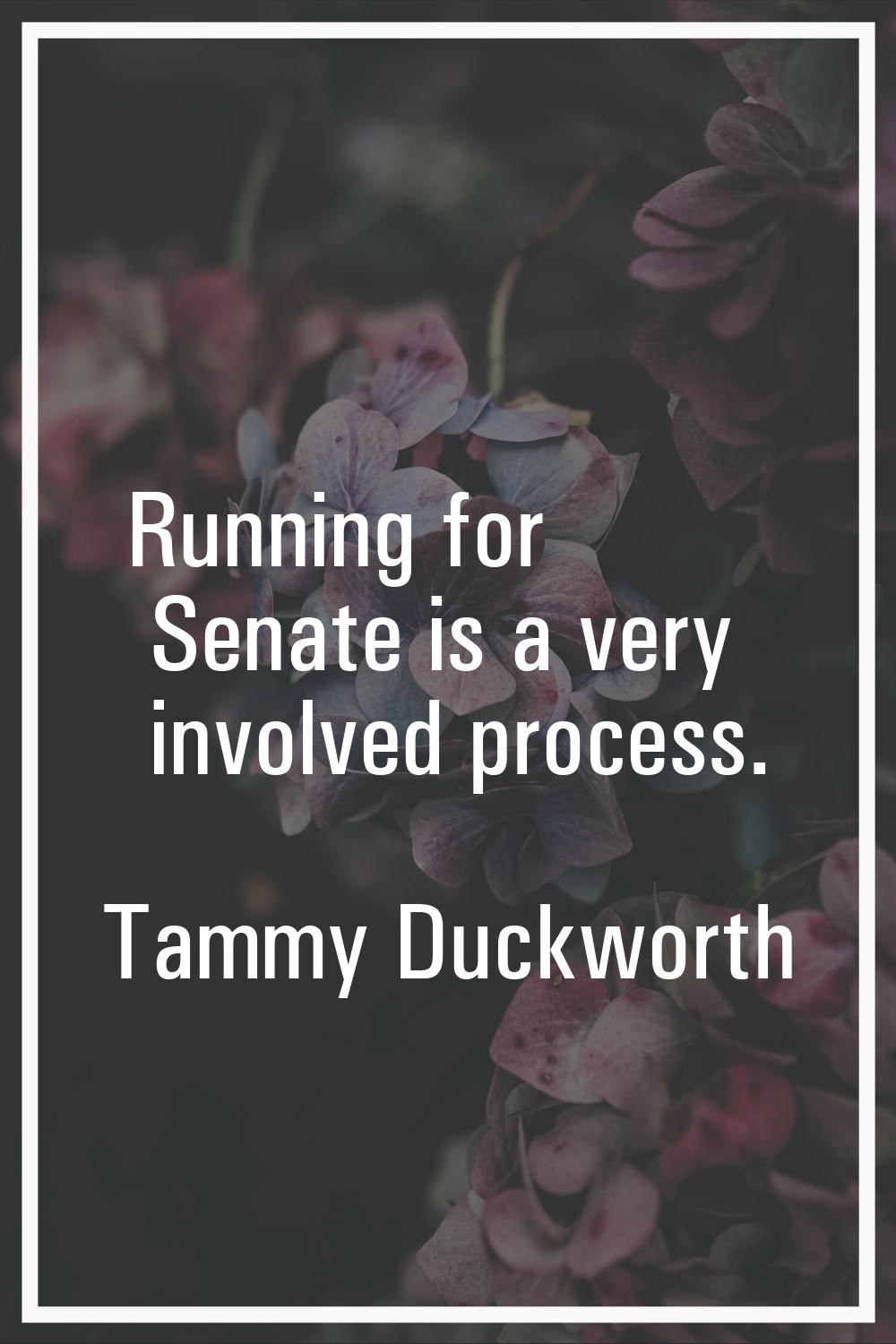 Running for Senate is a very involved process.