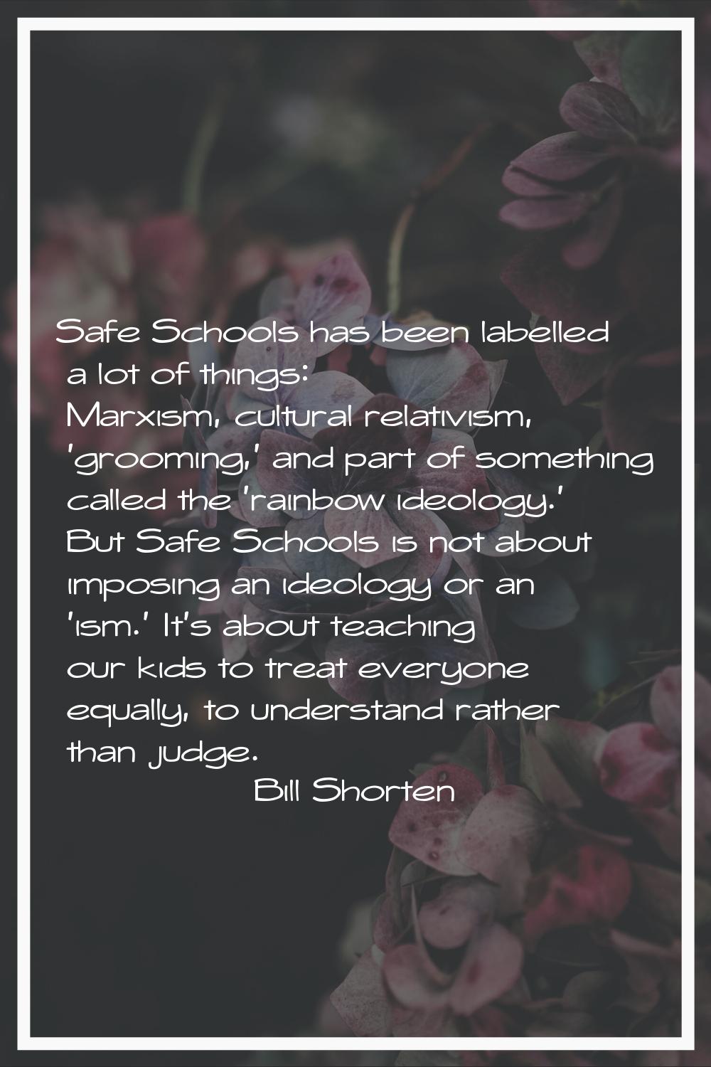 Safe Schools has been labelled a lot of things: Marxism, cultural relativism, 'grooming,' and part 