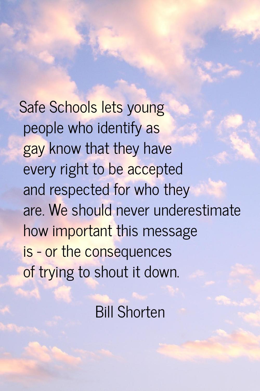 Safe Schools lets young people who identify as gay know that they have every right to be accepted a