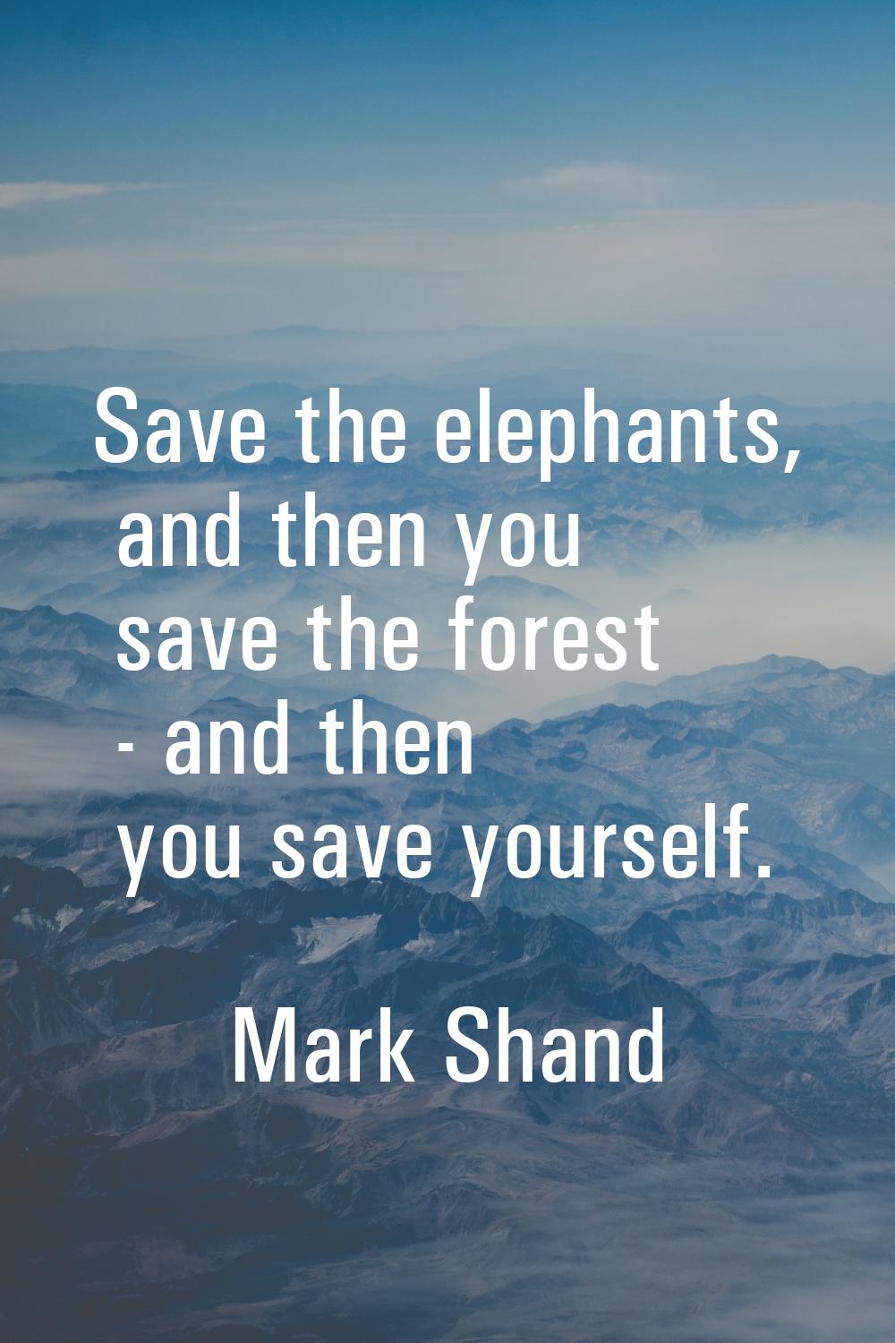 Save the elephants, and then you save the forest - and then you save yourself.