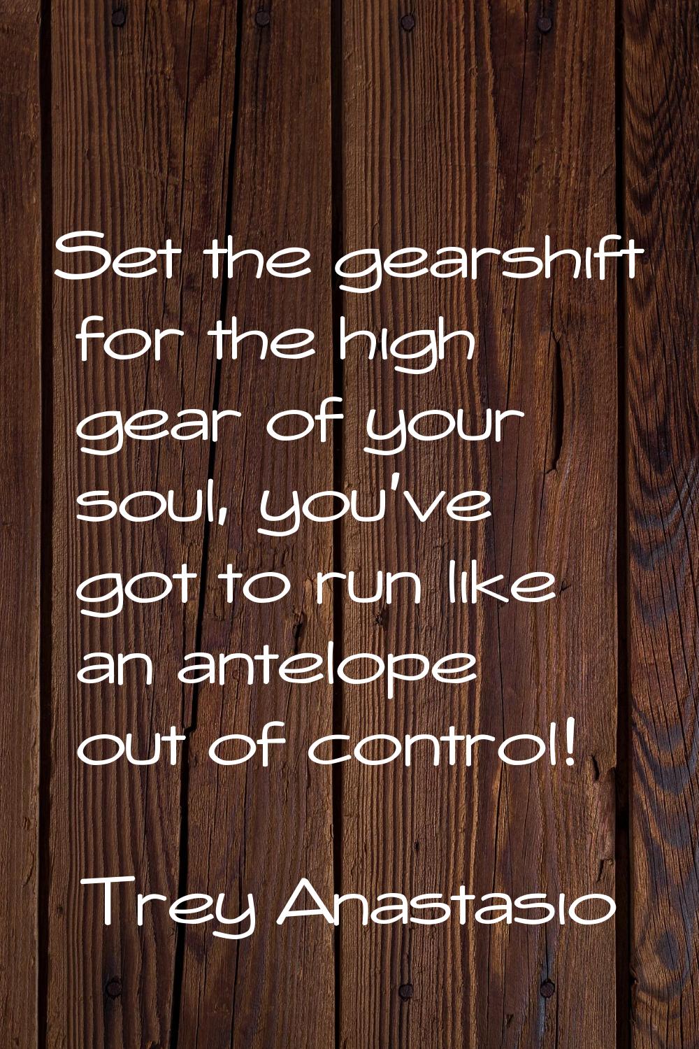 Set the gearshift for the high gear of your soul, you've got to run like an antelope out of control