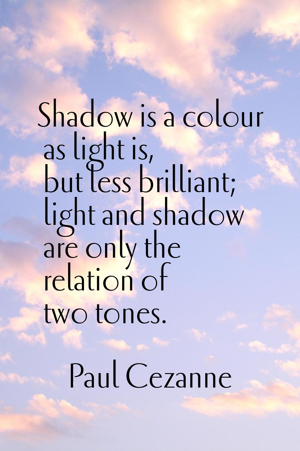 Shadow is a colour as light is, but less brilliant; light and shadow are only the relation of two t