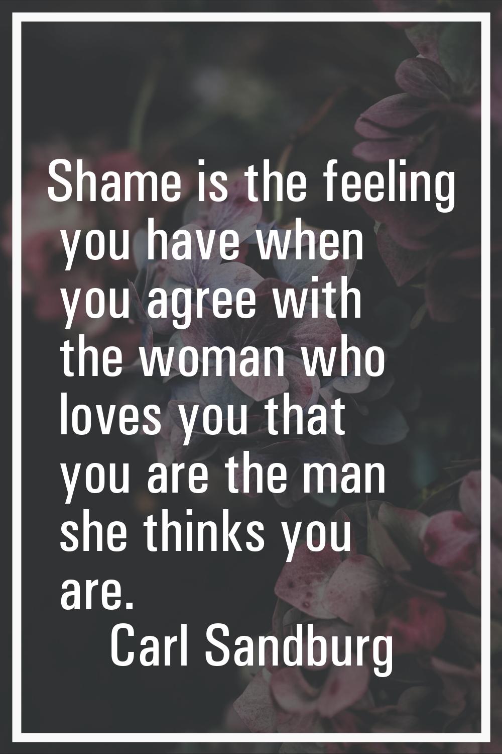 Shame is the feeling you have when you agree with the woman who loves you that you are the man she 