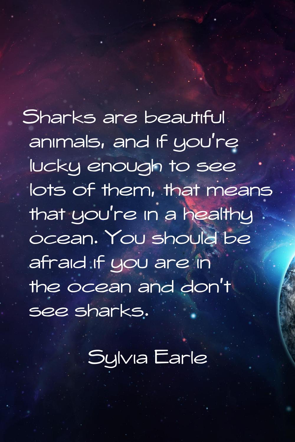 Sharks are beautiful animals, and if you're lucky enough to see lots of them, that means that you'r