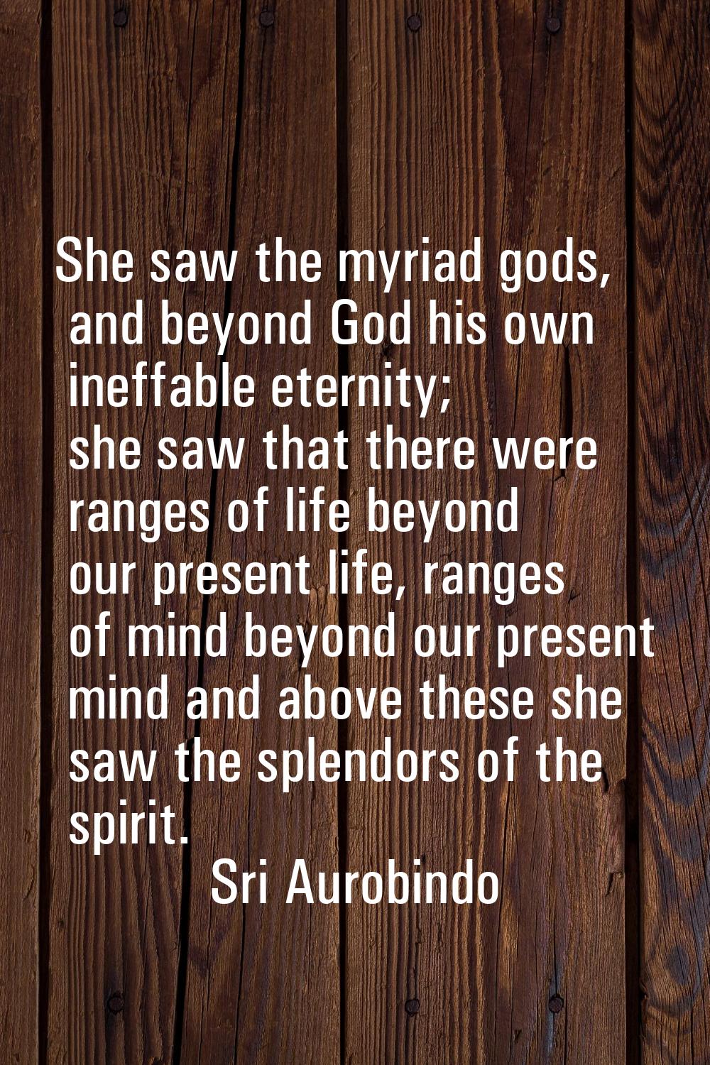 She saw the myriad gods, and beyond God his own ineffable eternity; she saw that there were ranges 