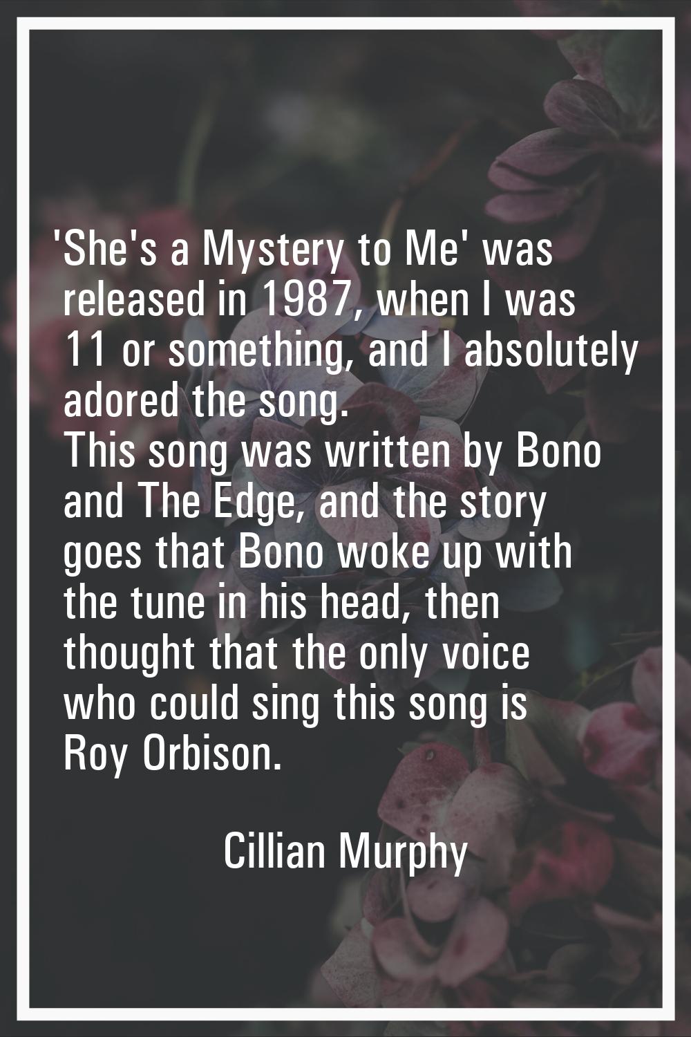 'She's a Mystery to Me' was released in 1987, when I was 11 or something, and I absolutely adored t