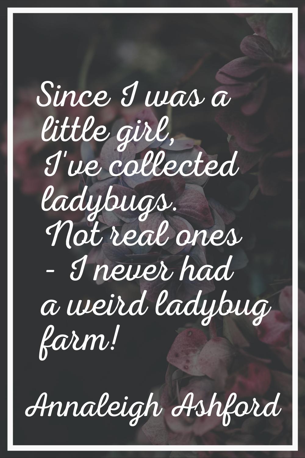 Since I was a little girl, I've collected ladybugs. Not real ones - I never had a weird ladybug far