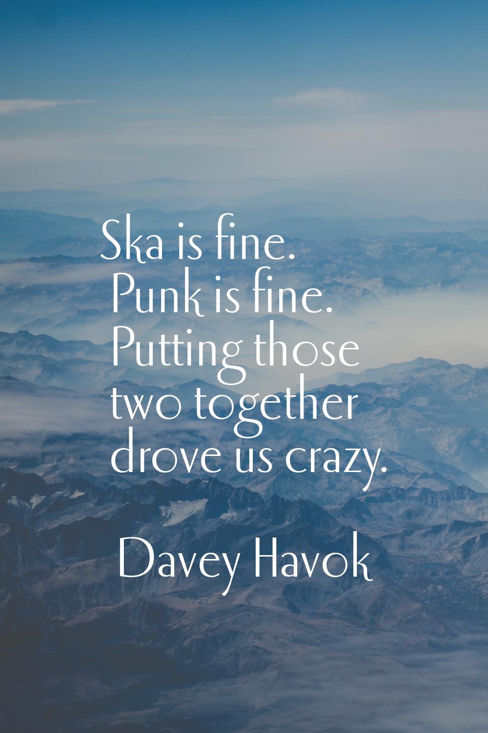 Ska is fine. Punk is fine. Putting those two together drove us crazy.