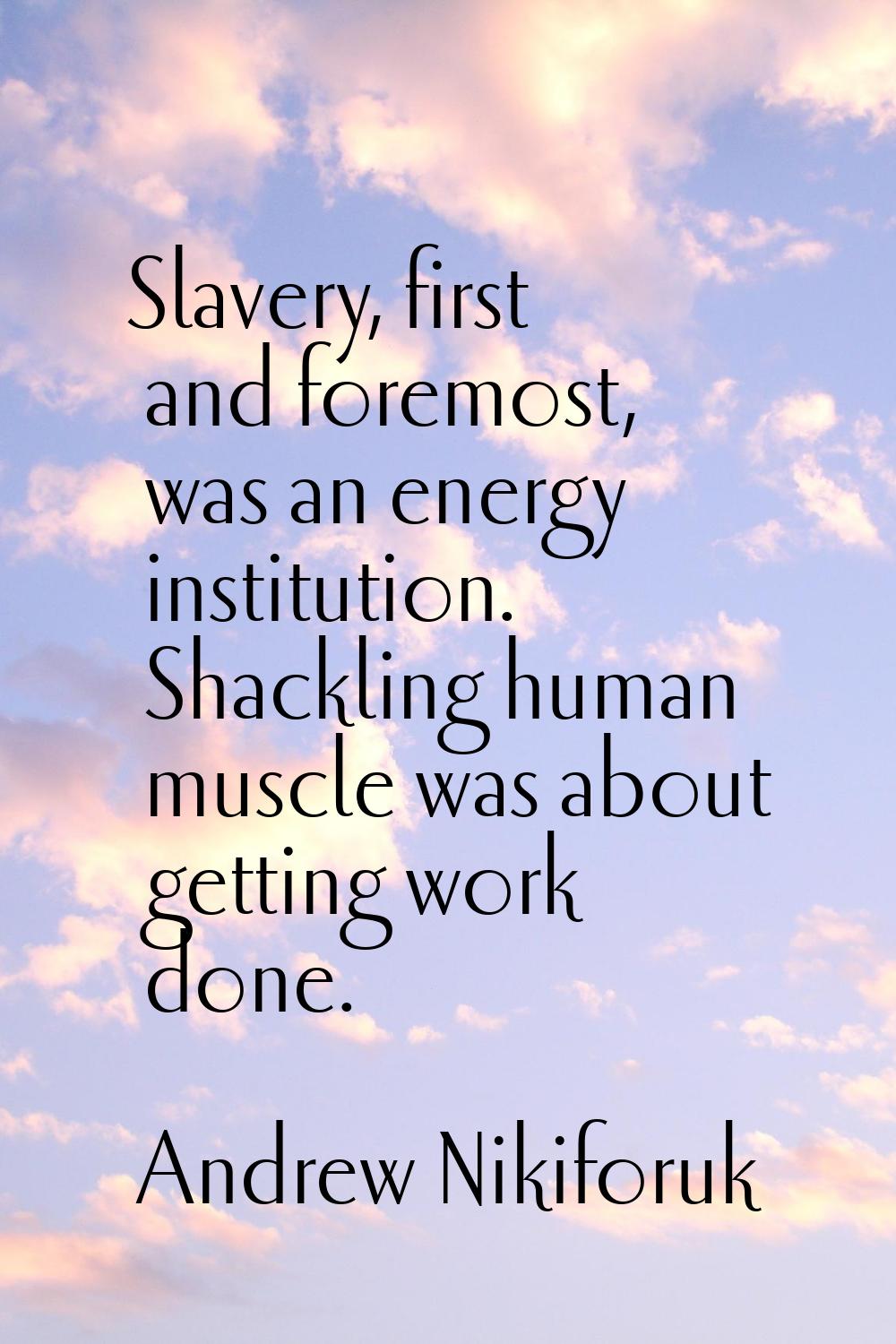 Slavery, first and foremost, was an energy institution. Shackling human muscle was about getting wo