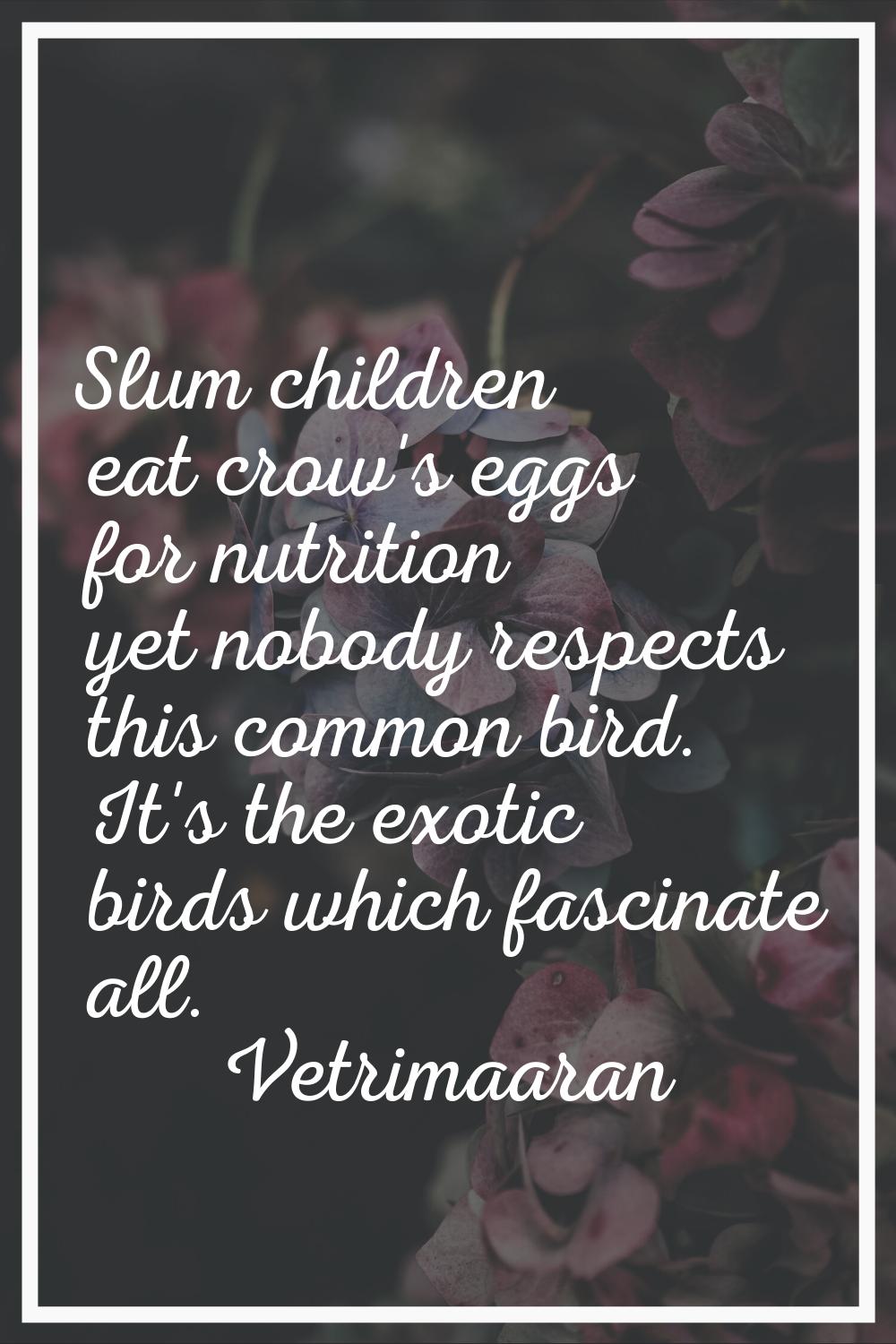 Slum children eat crow's eggs for nutrition yet nobody respects this common bird. It's the exotic b