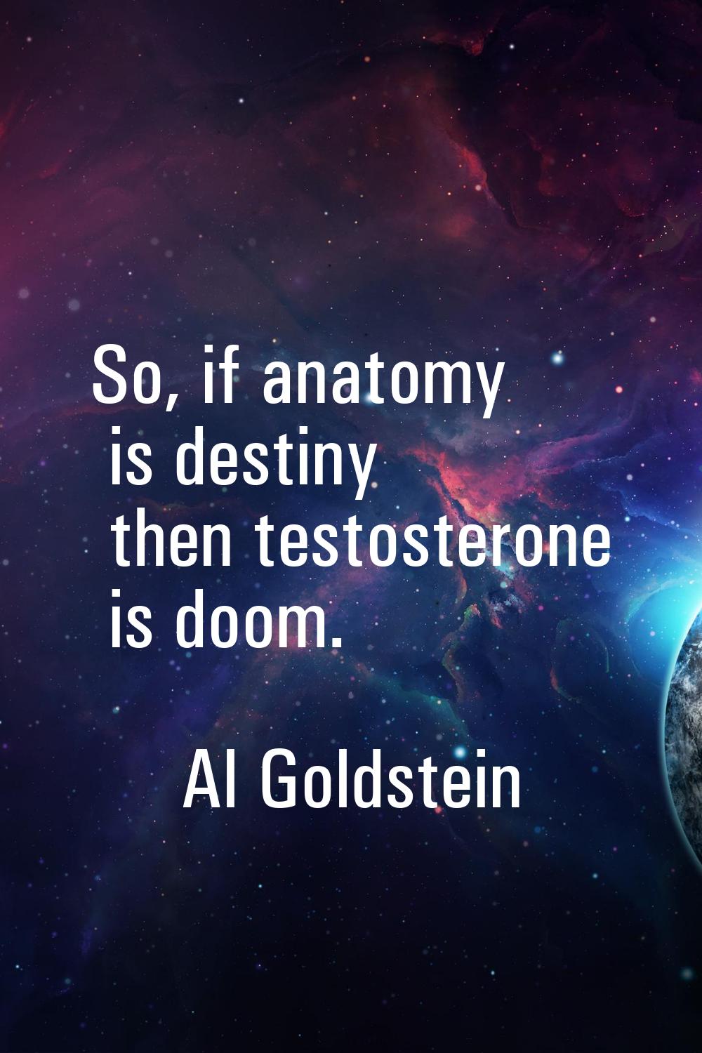 So, if anatomy is destiny then testosterone is doom.