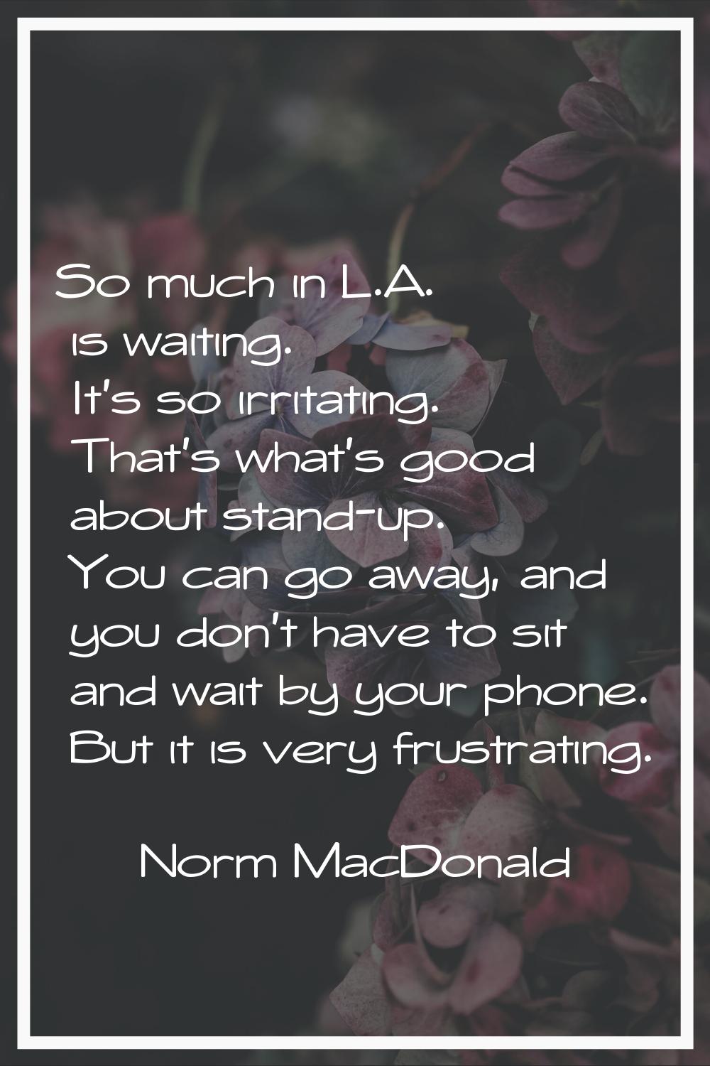 So much in L.A. is waiting. It's so irritating. That's what's good about stand-up. You can go away,