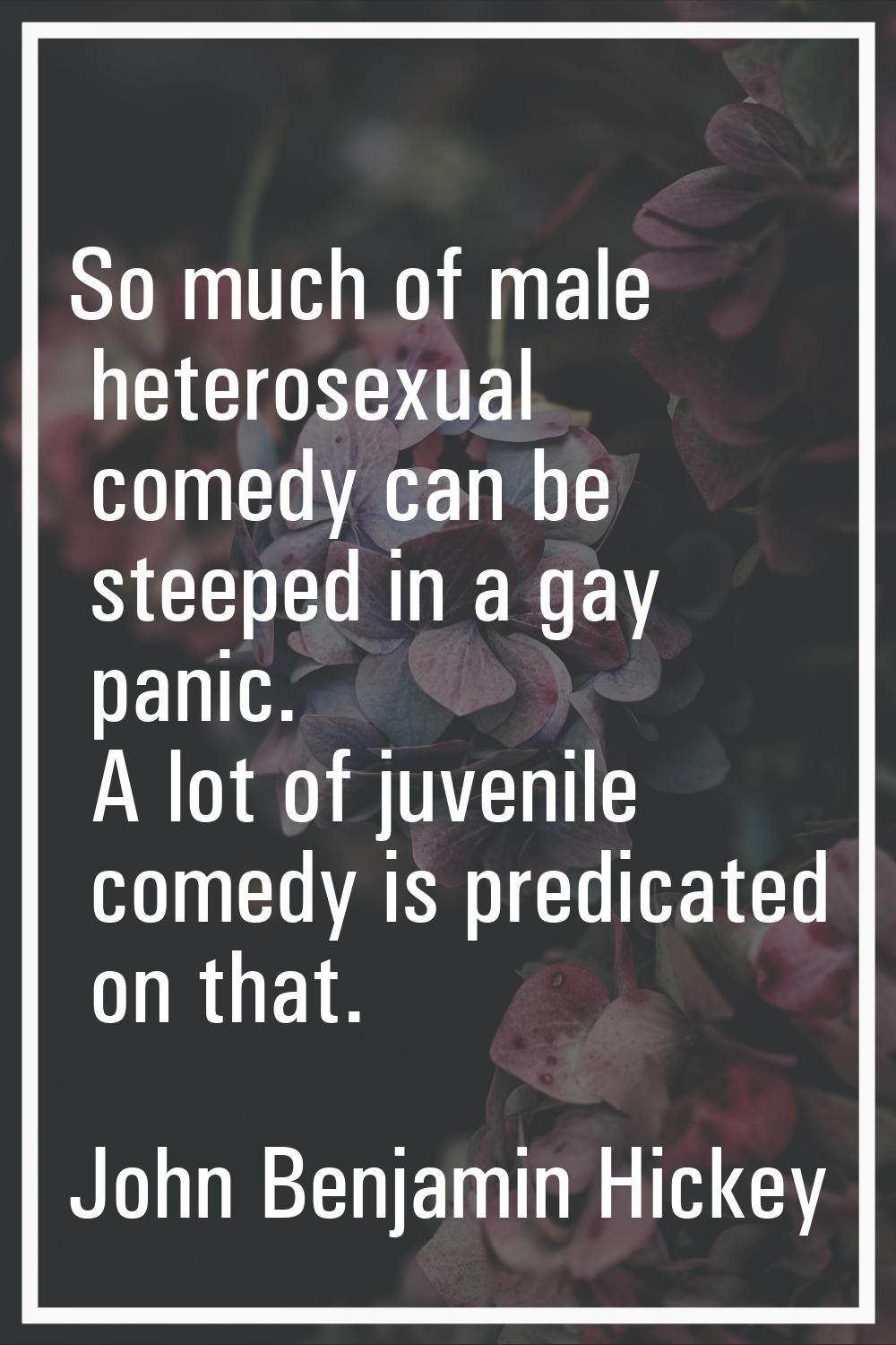 So much of male heterosexual comedy can be steeped in a gay panic. A lot of juvenile comedy is pred