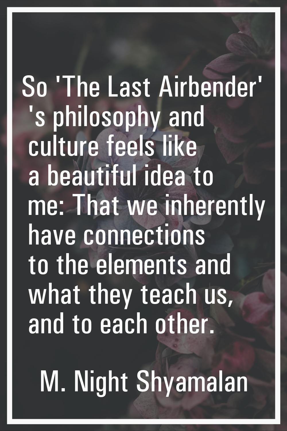 So 'The Last Airbender' 's philosophy and culture feels like a beautiful idea to me: That we inhere