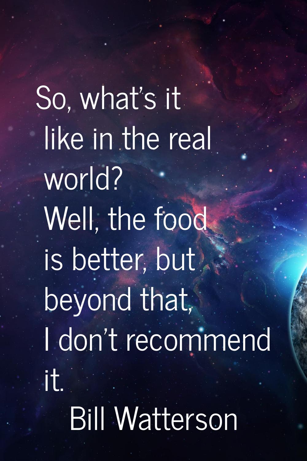 So, what's it like in the real world? Well, the food is better, but beyond that, I don't recommend 