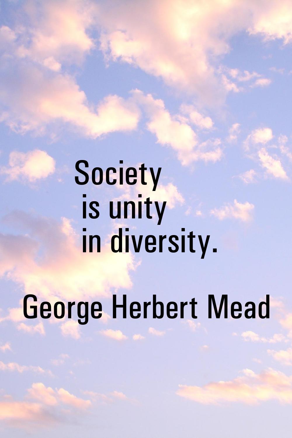 Society is unity in diversity.