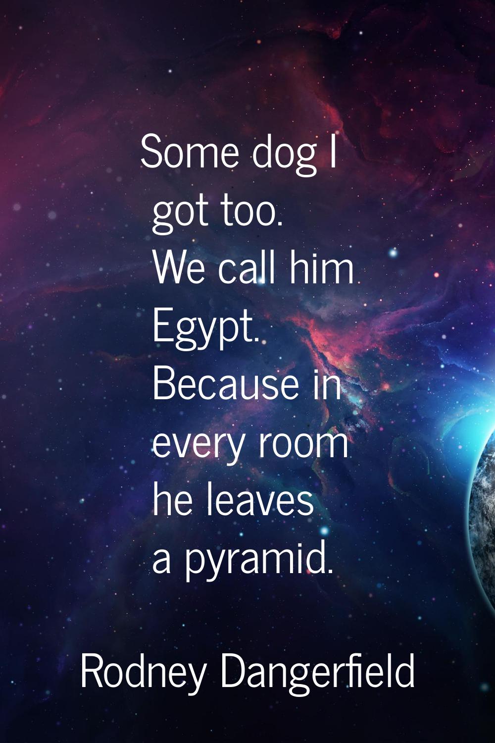 Some dog I got too. We call him Egypt. Because in every room he leaves a pyramid.
