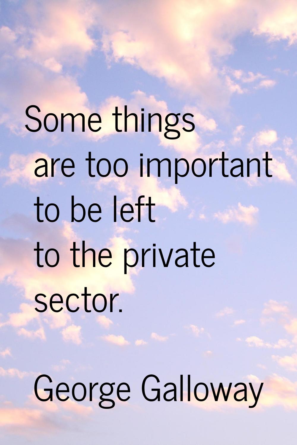 Some things are too important to be left to the private sector.
