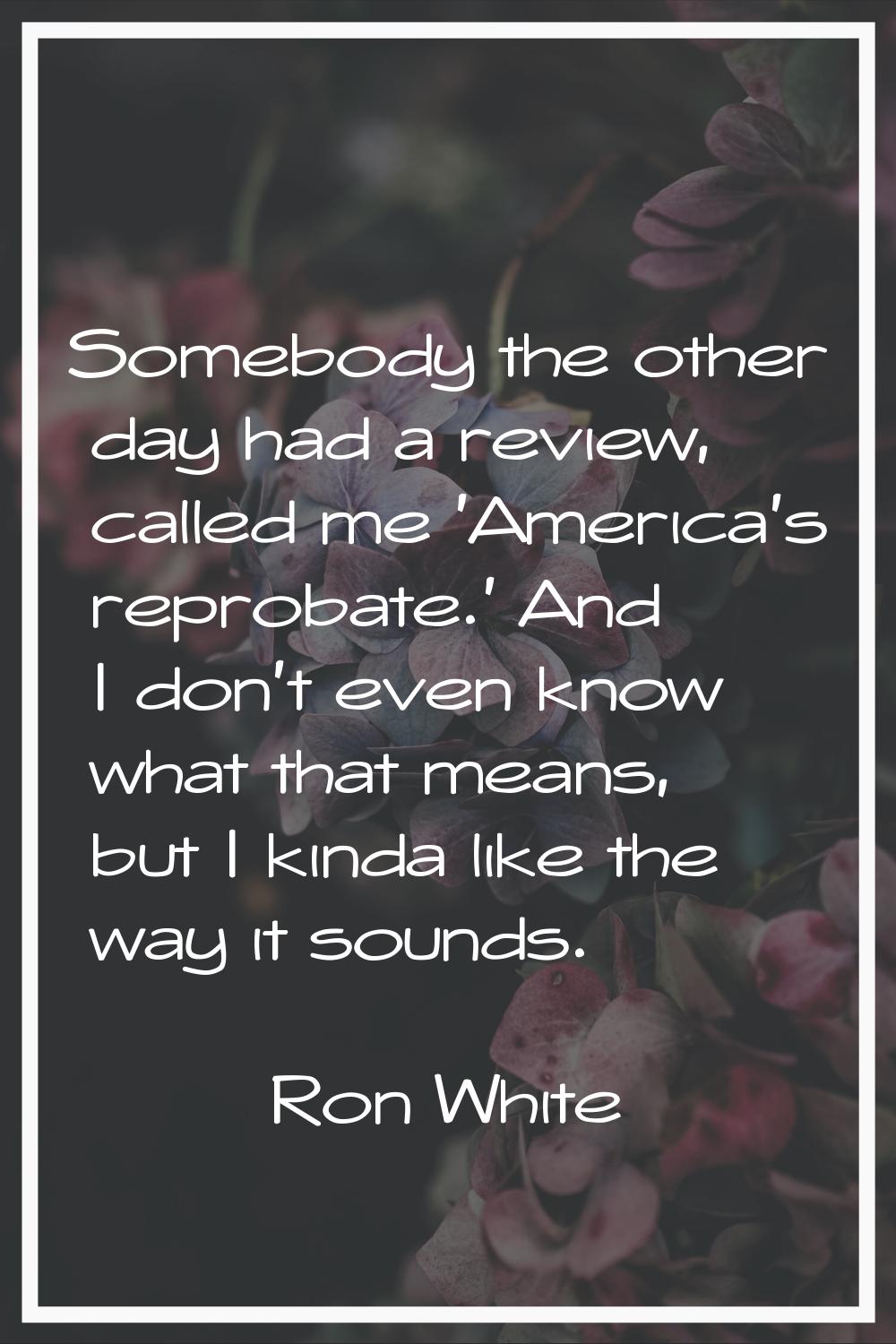 Somebody the other day had a review, called me 'America's reprobate.' And I don't even know what th