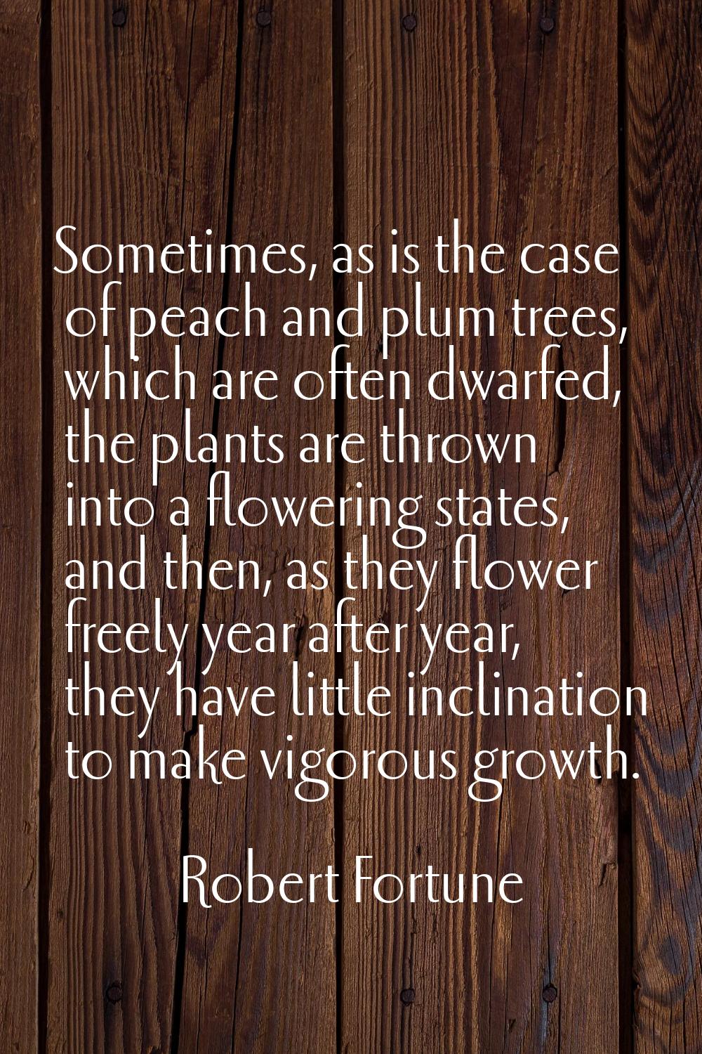 Sometimes, as is the case of peach and plum trees, which are often dwarfed, the plants are thrown i