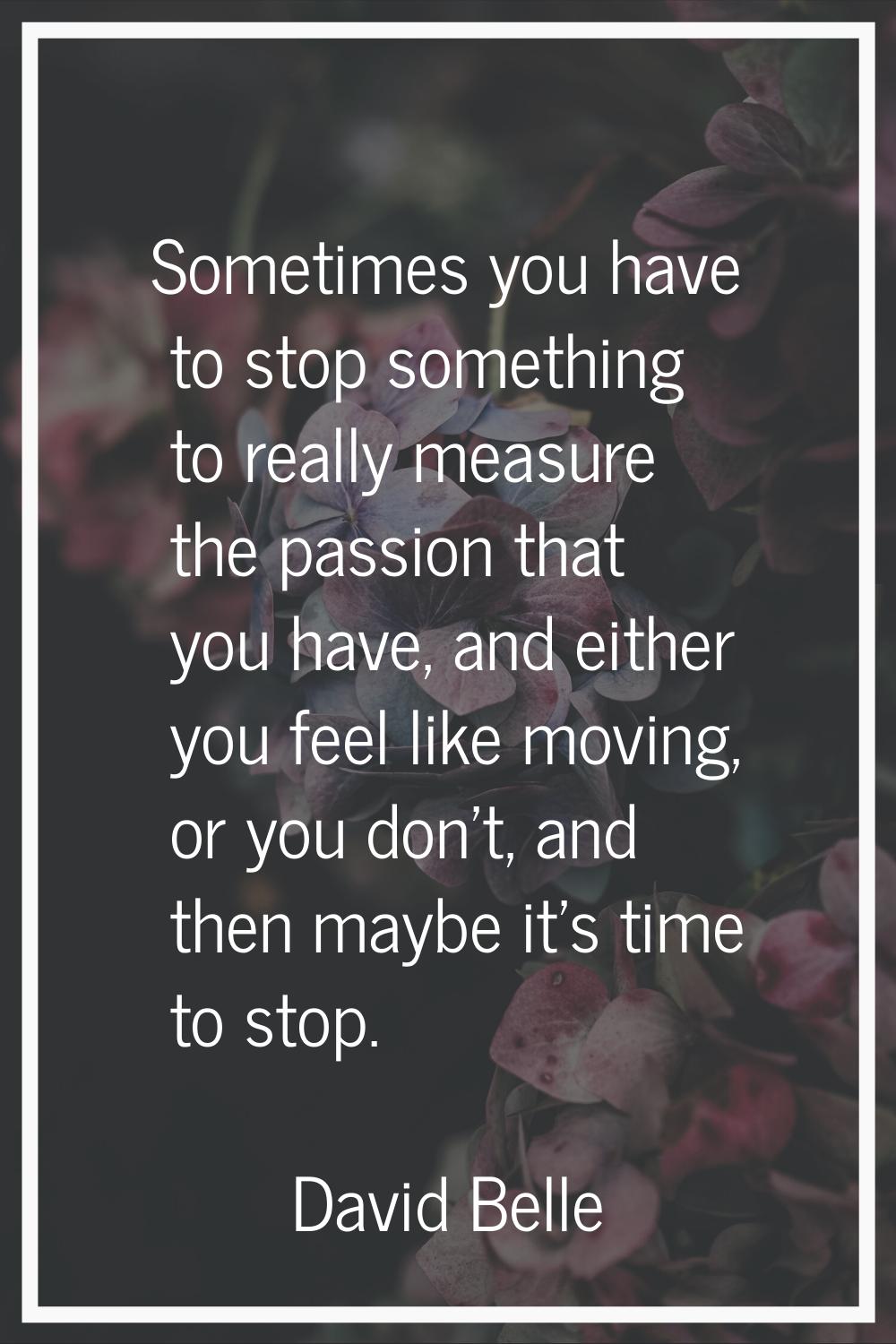 Sometimes you have to stop something to really measure the passion that you have, and either you fe