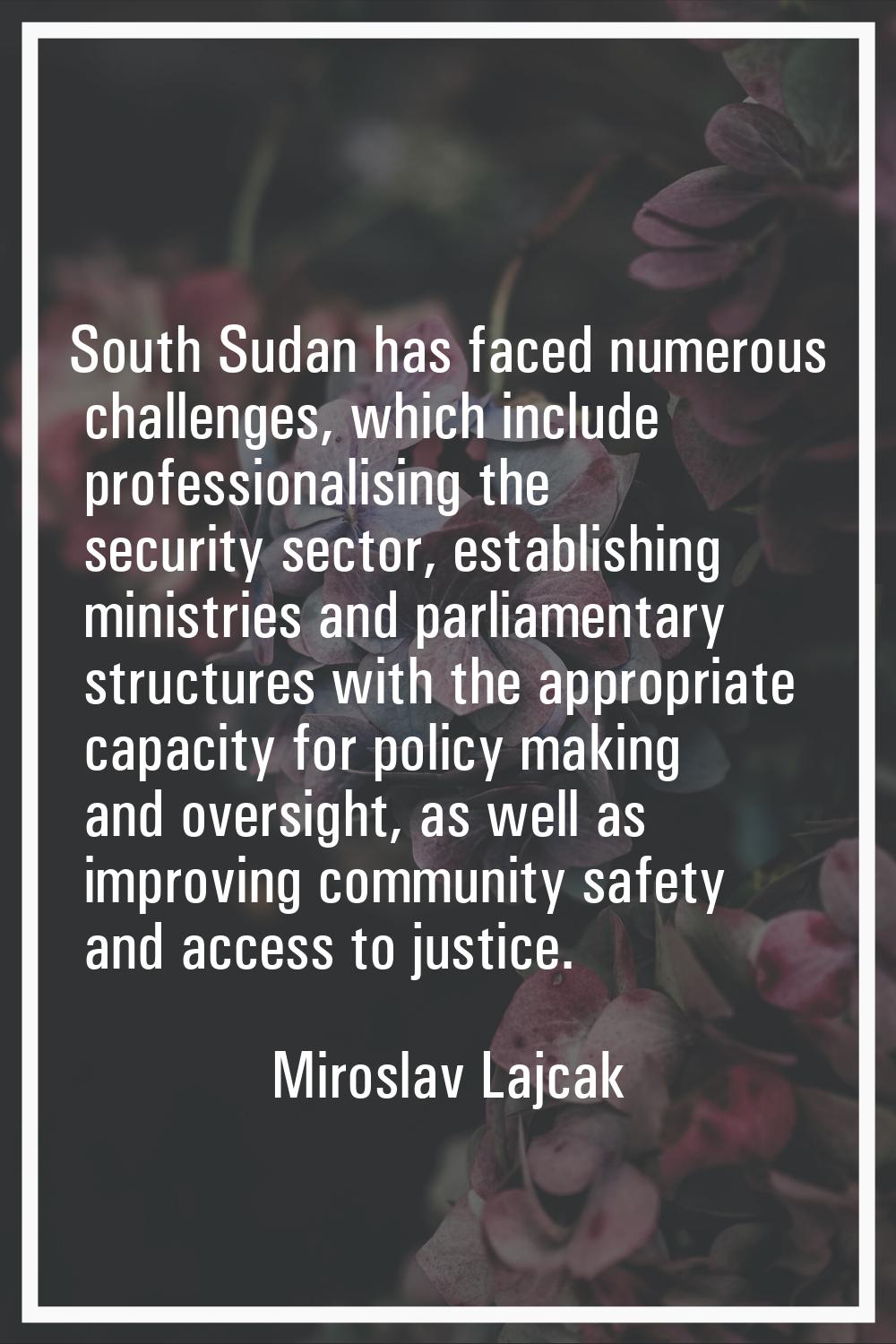 South Sudan has faced numerous challenges, which include professionalising the security sector, est