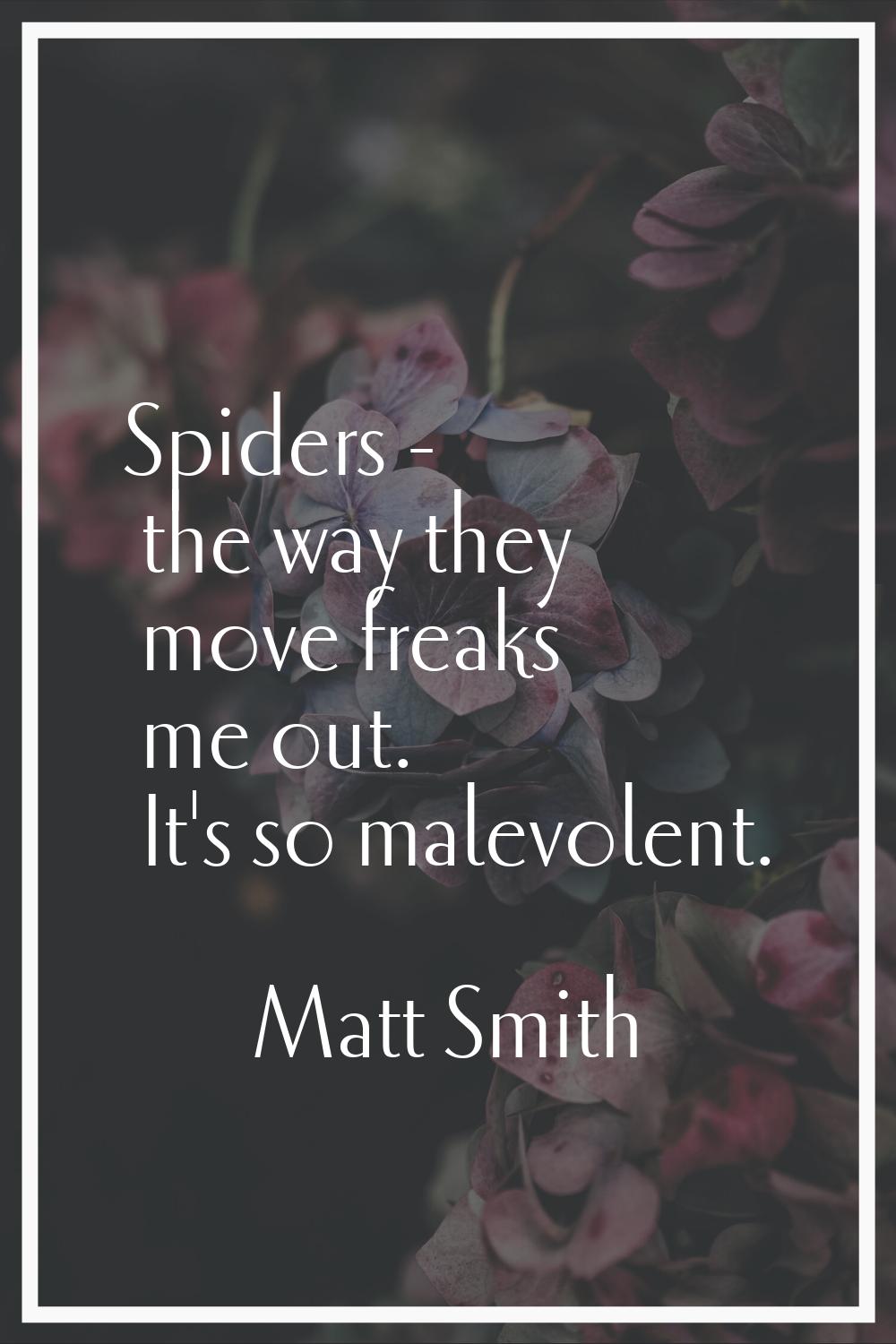 Spiders - the way they move freaks me out. It's so malevolent.