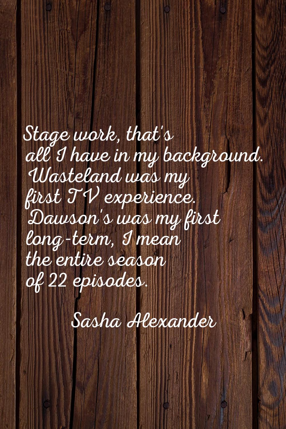 Stage work, that's all I have in my background. Wasteland was my first TV experience. Dawson's was 