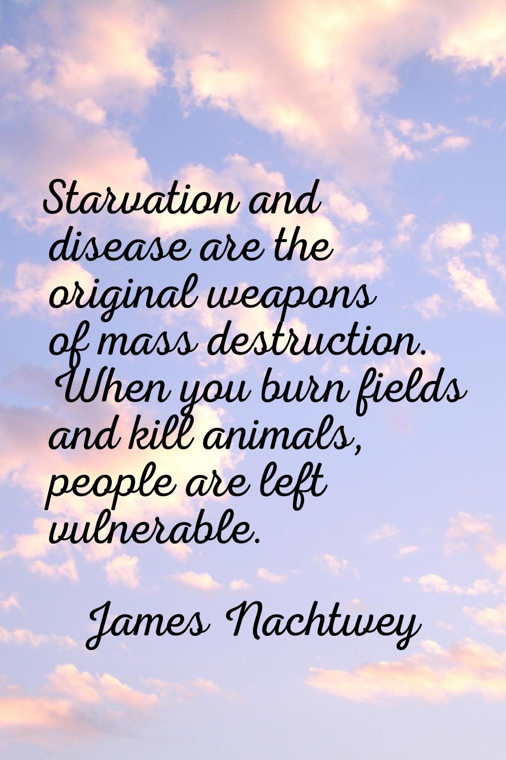 Starvation and disease are the original weapons of mass destruction. When you burn fields and kill 