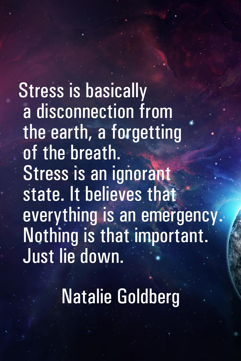 Stress is basically a disconnection from the earth, a forgetting of the breath. Stress is an ignora
