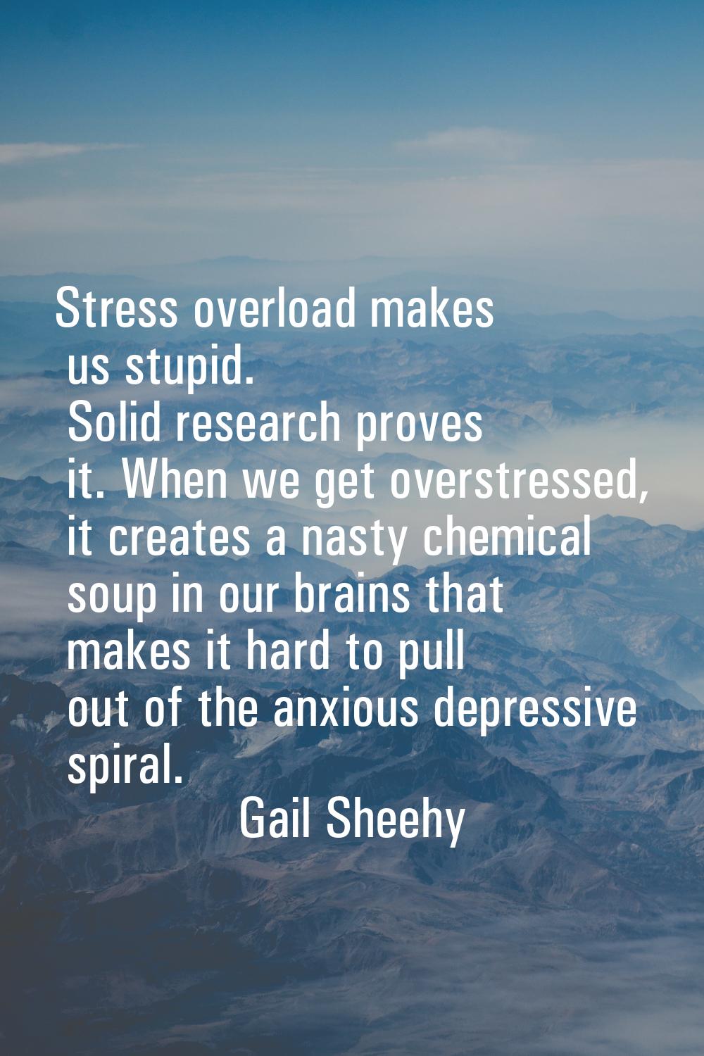 Stress overload makes us stupid. Solid research proves it. When we get overstressed, it creates a n