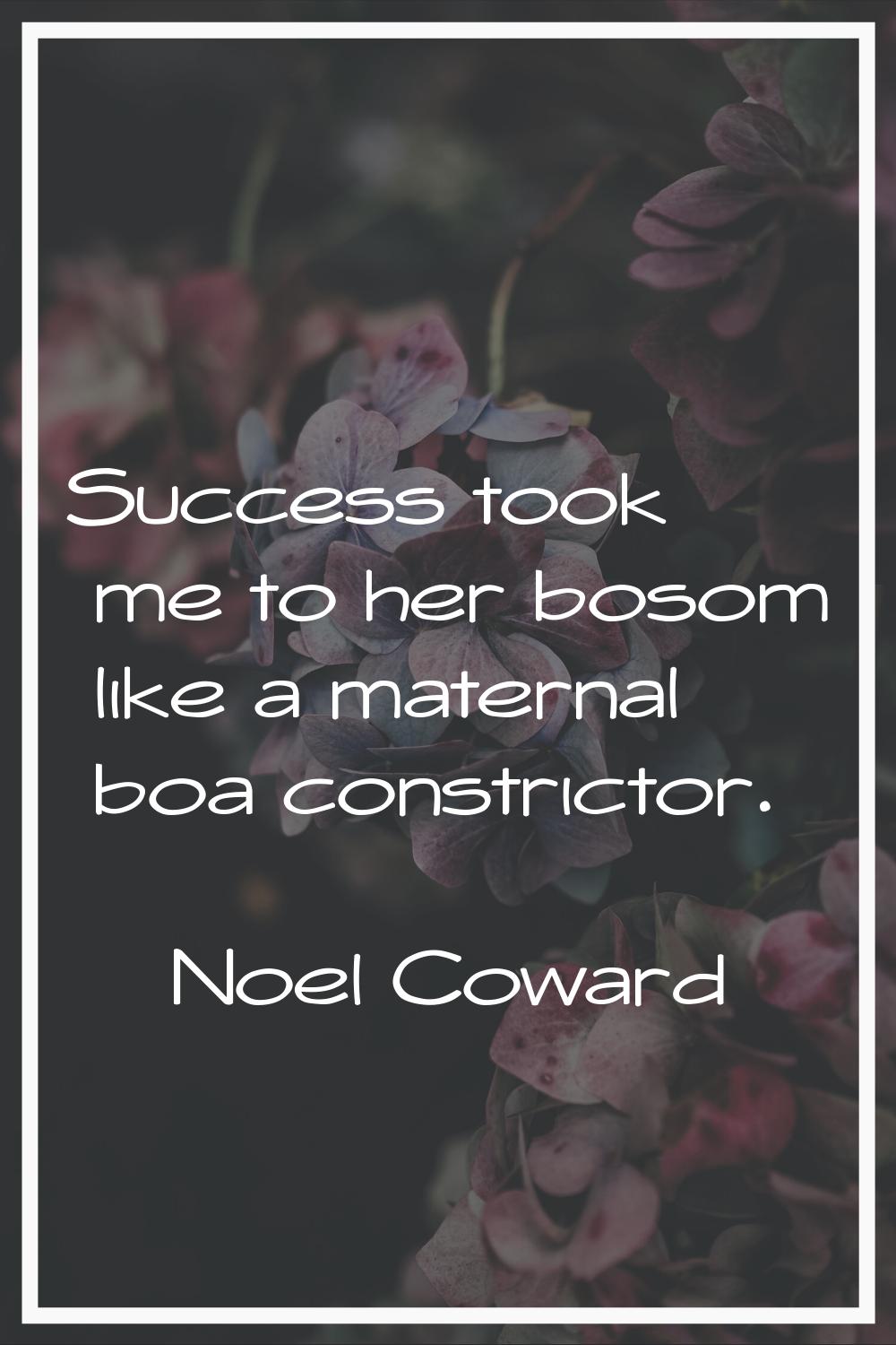 Success took me to her bosom like a maternal boa constrictor.