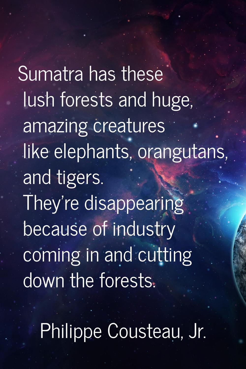 Sumatra has these lush forests and huge, amazing creatures like elephants, orangutans, and tigers. 